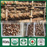 Shiitake Mushroom Compost,Cancer Cure Mushroom,Frozen Shiitake thumbnail-3