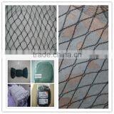 cheap agricultural bird netting for catching birds/bird mist nets/bird protection net