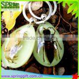 Real Insects Key Ring, Animial Specimen Sample Key Ring , Butterflies, Sea Life Amber Fashion Jewelry Key Ring