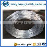 Galvanized Steel Wire for Electrical Cable Wire thumbnail-1