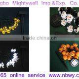 Halloween Party Event Activity LED String Light Halloween Decorative Light