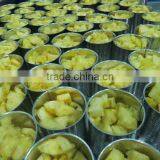 Canned Fruits thumbnail-1