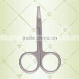 Stainless Steel Yangjiang Eyebrow Scissors