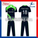 Custom Logo and Team Name Pakistan Cricket Jersey 2014