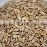 Good Quality Bakery Grade Sunflower Seeds Kernels