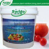 Seaweed Composition Fertilizer thumbnail-1