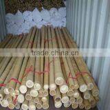 Garden Green Bamboo Poles Cheap thumbnail-3