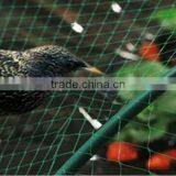 100% Virgin HDPE With UV Treated Orchard Anti Bird Net thumbnail-2