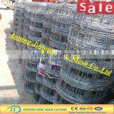 Galvanized Cheap Wire Mesh Security Black Horse Fences
