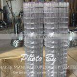 Galvanzied Welded Wire Mesh thumbnail-3