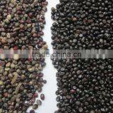 High Quality Seeds Color Sorter With CE/SONCAP Certification thumbnail-2
