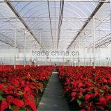 Multi Span Flower Greenhouse Natural Ventilation Greenhouses thumbnail-2