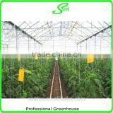 Plastic Arch Greenhouse for Sale From Big Greenhouse Manufacturer in China thumbnail-3