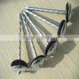steel umbrella head roofing nail (factory and export)
