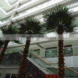 SJ12001202 China Wholesale Artificial Fan Plam Trees thumbnail-1