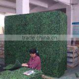 Outdoor Artificial Boxwood Hedge Hot Sale With Milan Grass for Decoration thumbnail-1