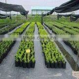 pp Spunbond Nonwoven Fabric Ground Cover Weed Control Mat thumbnail-4