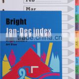Bright Color 12 Tab Index (Jan-Dec)