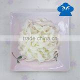 Healthy and Reliable Konjac Pasta for Cooking OEM Available thumbnail-1