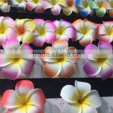 Hot Sell Egg Flower Wholesale Flower thumbnail-1