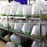 Ornamental Fish Farm and Export Company thumbnail-4