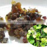 Boswellia Extract thumbnail-3