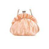 Beautiful Fashionable Female Evening Bag