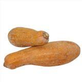 RIZHAO PORT PROVISISON thumbnail-5