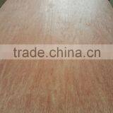 5mm 8mm 10mm 15mm Plywood Sheets/cheap Plywood for Sale thumbnail-2