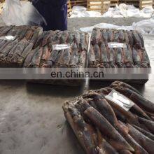 Frozen Argentina Illex Squid Frozen Illex Squid Price thumbnail-4
