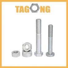 Stainless Steel Hex Head Bolt Photovoltaic Wind Power Hot-DIP Galvanized Bolt thumbnail-1