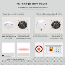 Smart Cylinder Safety Cabinet-GSC579 With Combustible Gas Detection & Galvanized Hinges for Biotechnology Research Plant thumbnail-5