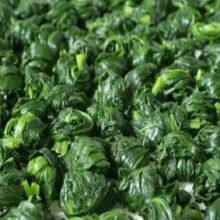 Frozen Chopped Spinach Ball With Top Quality thumbnail-2