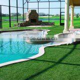Beautiful Swimming Pool Landscaping Green Grass thumbnail-1
