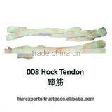 Hock Tendon thumbnail-1