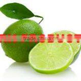 Natural & Pure Lime Essential Oil