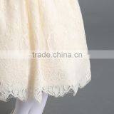 Wholesale Best-selling Short Sleeve Embroidery Lace Clothes Girls Fancy Dress thumbnail-4