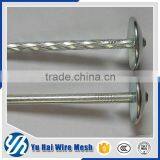 China Umbrella Head Roofing Nailsdirect From Factory Supplier's Choice thumbnail-2