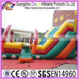 Outdoor Slide Inflatable Dry Slide With Arch Tent Cover thumbnail-1