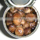 Canned Mushroom Whole thumbnail-1