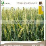 100% Pure Food Grade Cold Press Wheat Germ Oil Price thumbnail-6