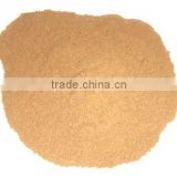 Vietnam Coconut Shell Powder