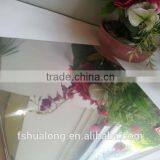 Silver Mirror Ceiling