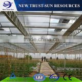 One stop agriculture greenhouse with the pc sheet covering material