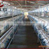 Cheap Galvanized Industrial Metal Welded Commercial Rabbit Cage For Sale In AnPing China thumbnail-5