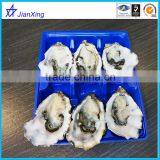 Food Use and Plastic Recyle Use Fresh Oyster Packaging Tray Plate thumbnail-1