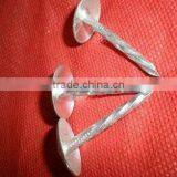 2"x9bwg Galvanized Roofing Nails With Umbrella Head thumbnail-2