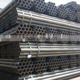 Scaffold thumbnail-1