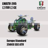 250CC Racing ATVLWATV-205 EEC Promotion thumbnail-1