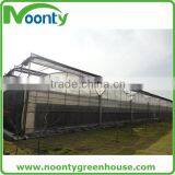 Professional Greenhouse Project Commercial Hydroponic Systems thumbnail-2